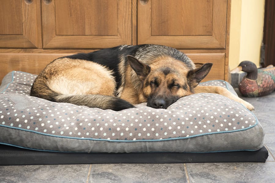 Creating a Safer and More Comfortable Environment