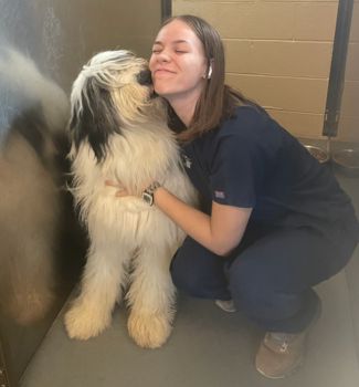 Mabry Laughing Pets Atlanta Dog Walker Pet Sitter