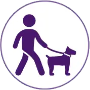 My dog pulls on leash.  Can you teach him not to pull?