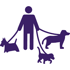 My dog pulls on leash.  Can you teach him not to pull?